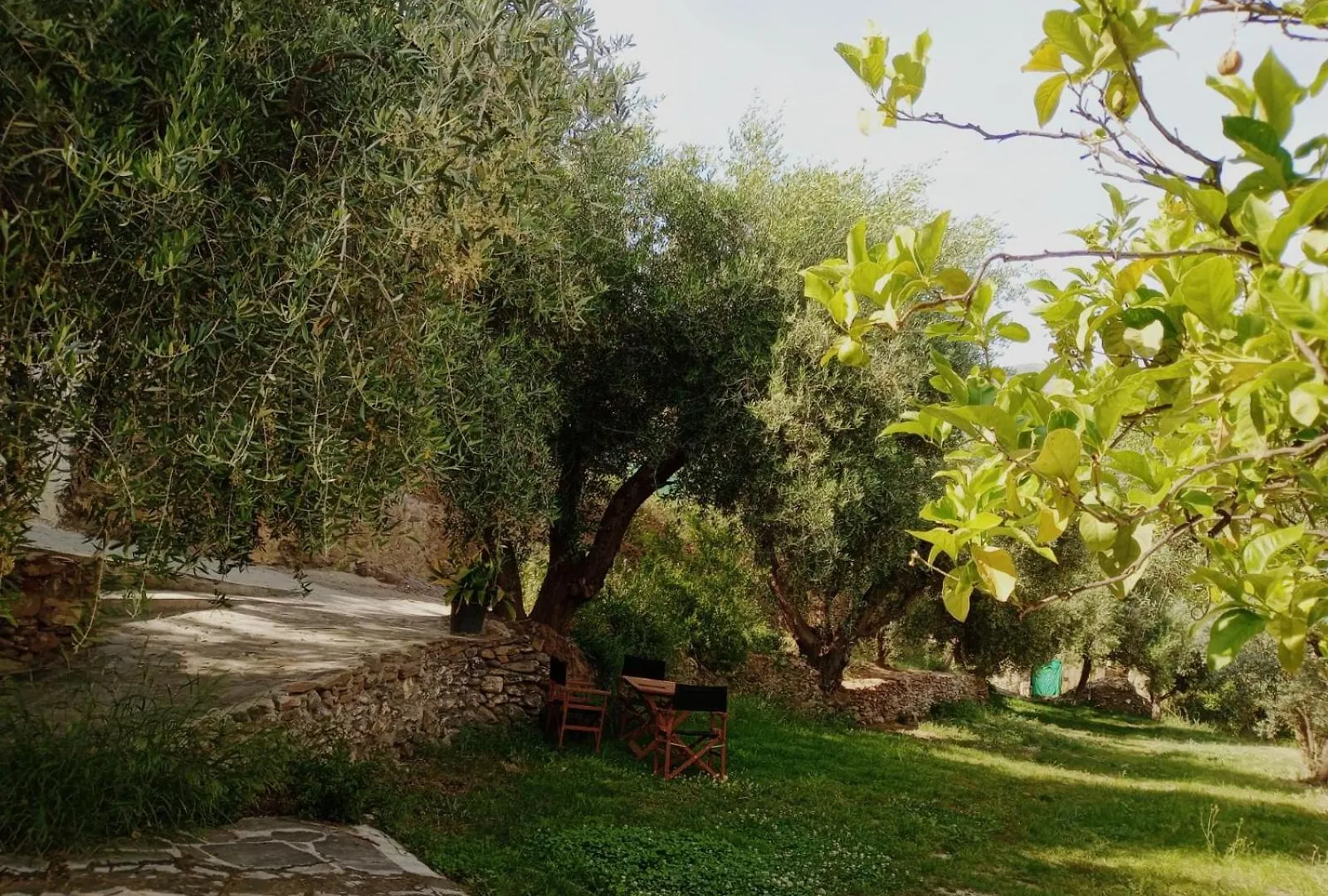 Alojamiento Rural Al Andalus Orgiva 0*,  Spain