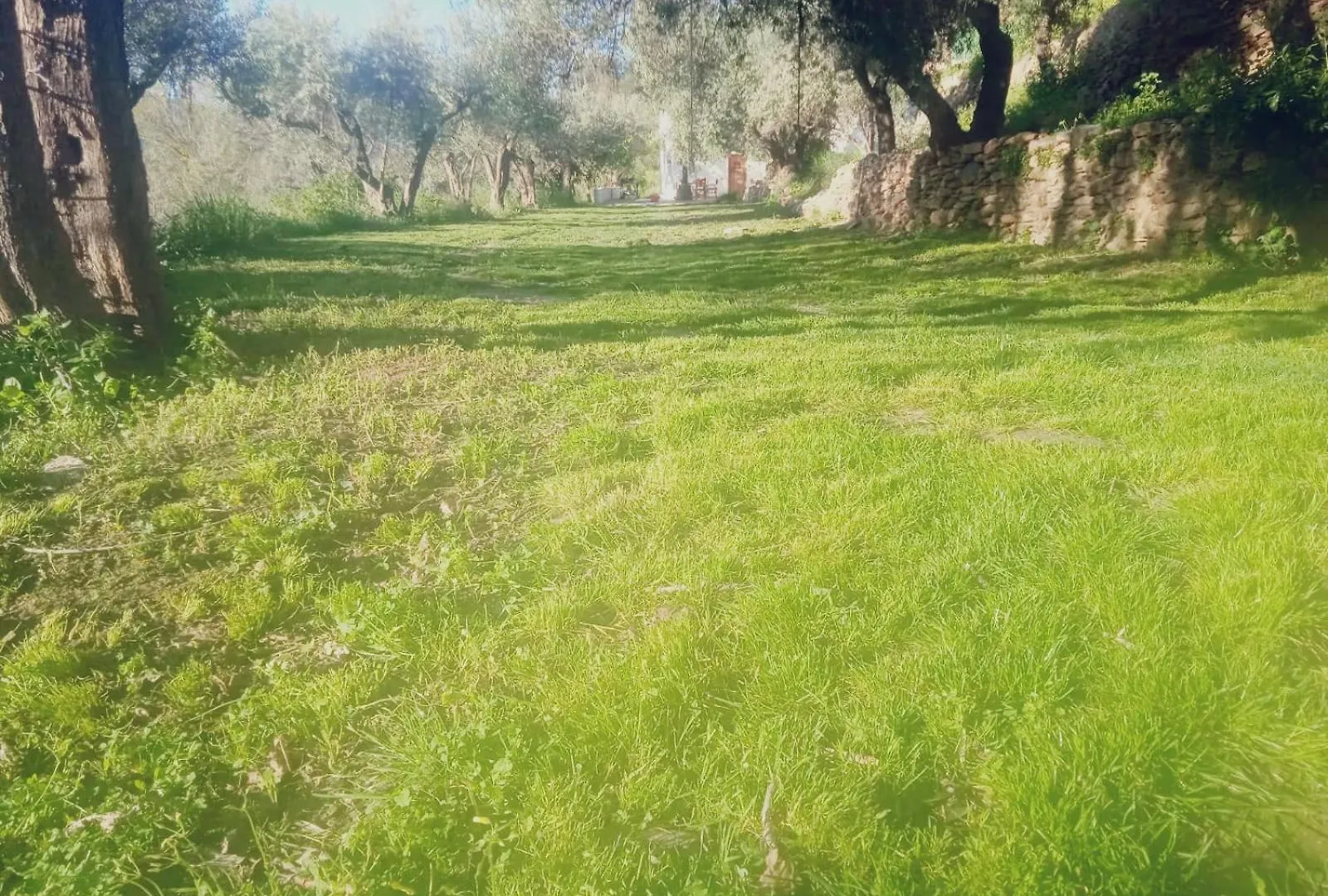 Alojamiento Rural Al Andalus Orgiva 0*,  Spain